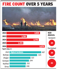 At 3.2k, Haryana records highest wheat stubble fire count in five years