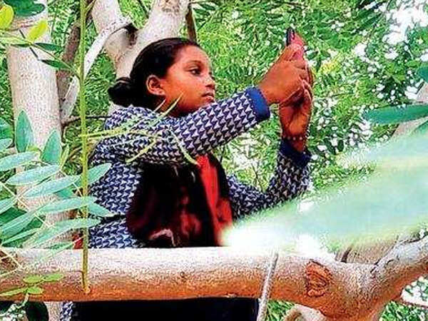 Gujarat: Kids climb atop trees, tanks for online classes