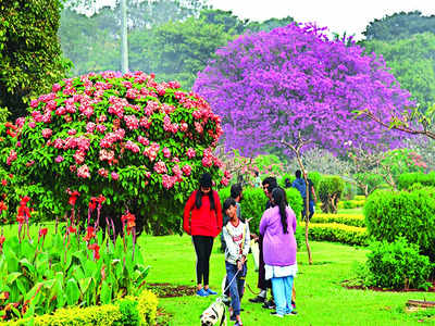 Tap the chatter question: Which is your favourite park in the city and how has it changed over time?