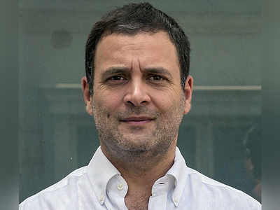 Can become PM if allies want me: Rahul Gandhi