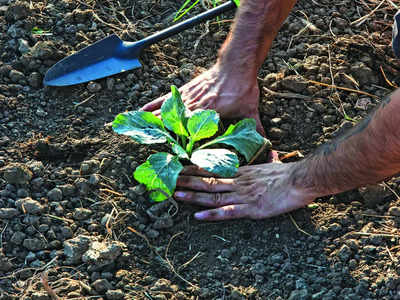 National Horticulture Fair 2025 kicks off