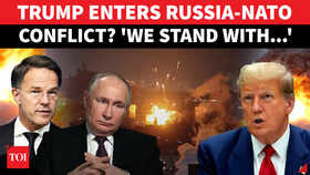 'We Stand With...': US Enters Russia-NATO Conflict? Trump Furious After Putin Forces Strike Romania