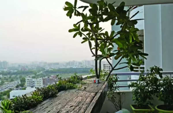 Native indoor plants reduce air pollution in city homes: Study