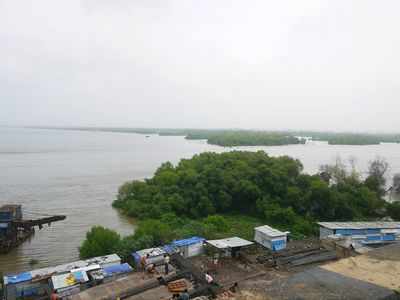 Maha to remove 1k illegal houses on mangroves