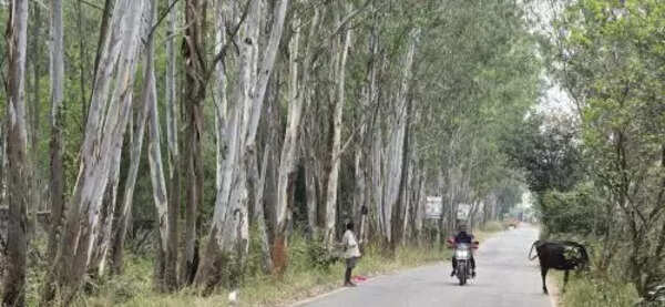 BDA invites tenders for BusinessCorridor’s Rs 3,348 crore 1st package