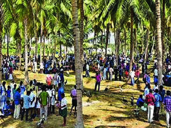 Annual rooster show in Dindigul sees 350 winged participants