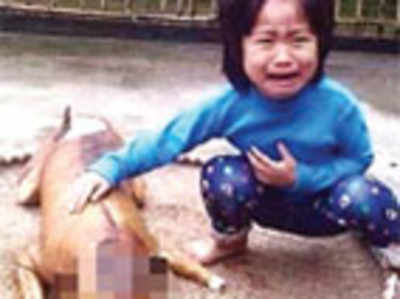 Little girl finds her missing dog — roasted andready for sale as ...