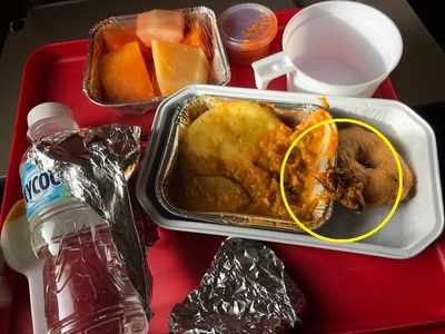 Air India apologises after passenger finds 'cockroach' in food served in flight
