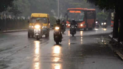 Delhi News Updates: At 88.2 mm, city logs highest January rainfall in 122 years
