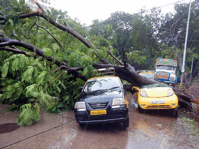 Cuffe Parade cops pick up axe to clear fallen trees