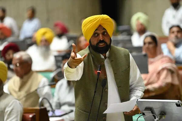 ‘No one will now dare to commit beadbi’, CM Mann on sacrilege bill