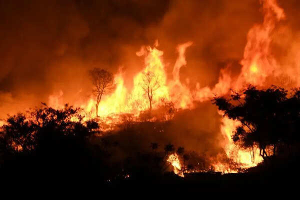As mercury rises, measures taken to tackle wildfires in Chamarajanagar district