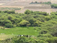 Trees felled, land cleared on 100-acre land parcel along Dwarka Expressway corridor