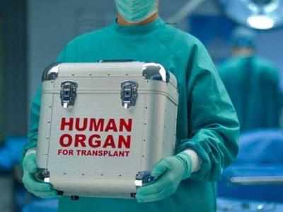 Goa IMA voices concern over delay in forming panel on organ donation