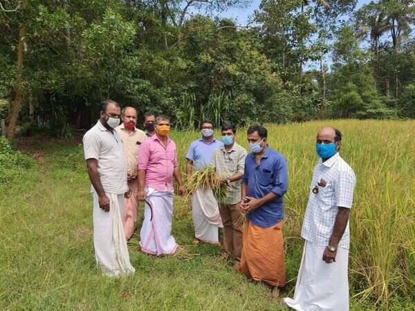 Kerala's temple priests, who lost their permanent income due to Covid-19 lockdown, prove that they are successful farmers too