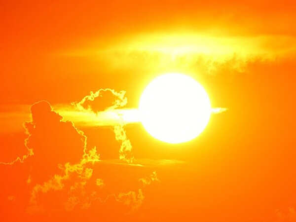 Veterinarians: Keep your pets indoors and hydrated during summer