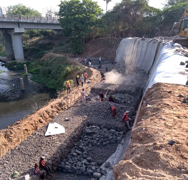 Work on gabion walls to secure eroding Vishwamitri banks begins