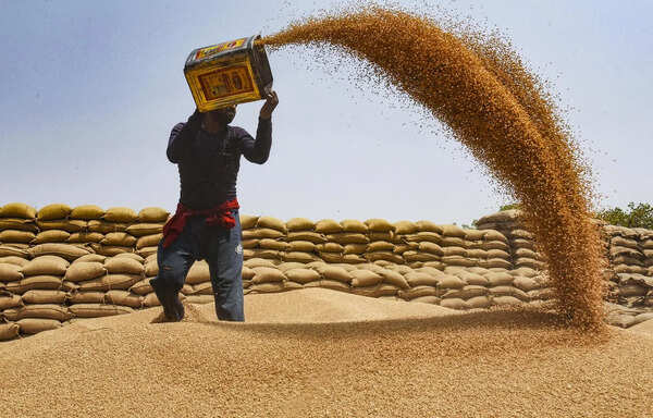 Coop wheat purchase jumps up by 35%