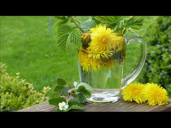 Urinary Tract Infection (UTI): Herbal products to heal it naturally