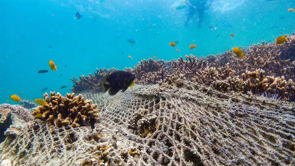The 'ghost' that's choking our oceans