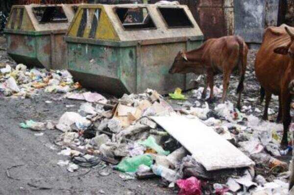 Corp sends all garbage trucks for maintenance