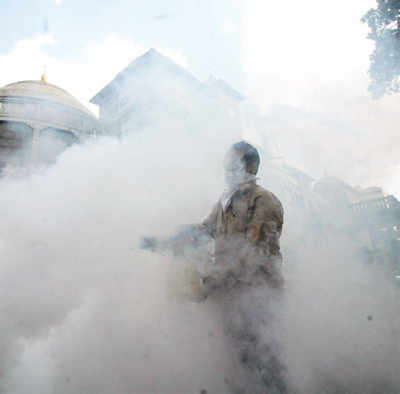 Dengue stings harder this time