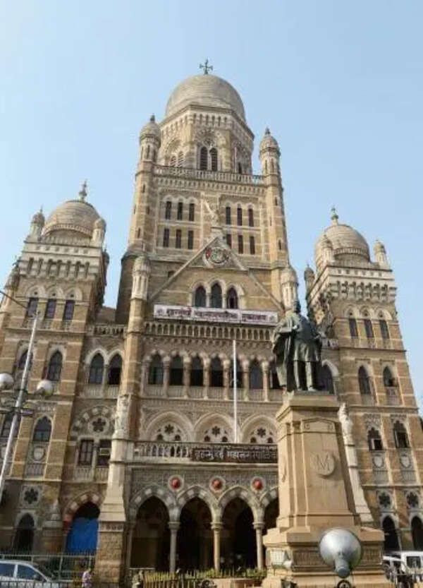 No crematorium in Manori belt, MSHRC fines BMC 1L