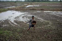 Agri ministry introduces mobile app for online fertiliser booking to keep check on black marketing