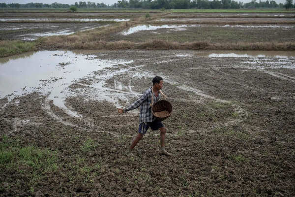 Agri ministry introduces mobile app for online fertiliser booking to keep check on black marketing