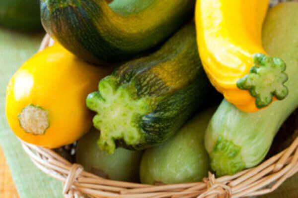 Health benefits of zucchini