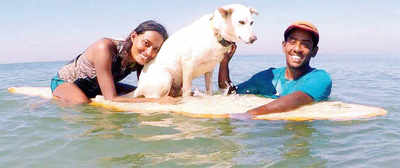 A dog that makes storytellers out of surfers