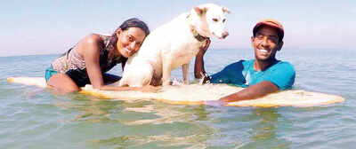 A dog that makes storytellers out of surfers