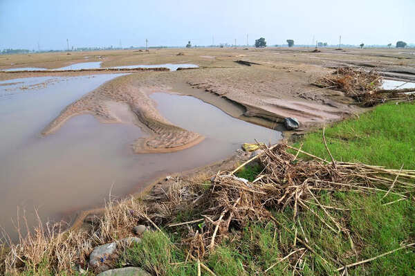 Minor irrigation department to curb illegal silt extraction