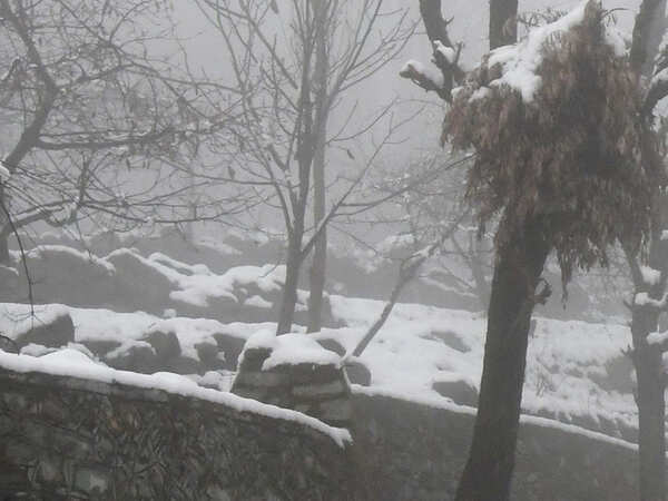 Hard time finding tourists for Kashmir; Bengal operators jittery