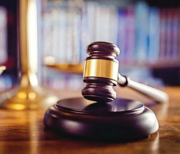 Delhi district court bar associations call off strike over pecuniary jurisdiction demand