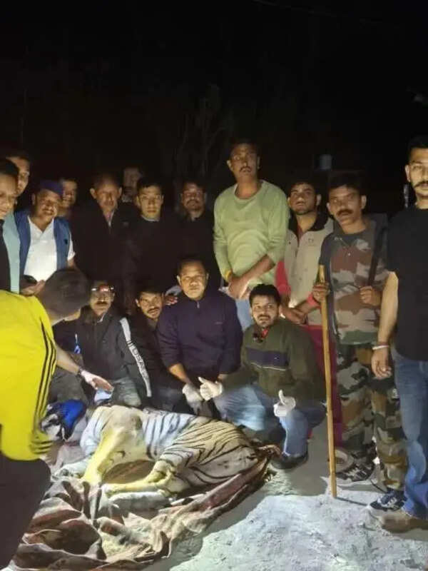 ‘Killer’ tigress tranquillised in Nainital village