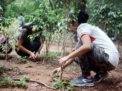 Engineers will learn pottery, gardening...