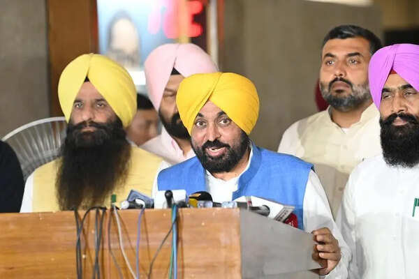 AAP govt wins trust motion in Punjab assembly; party united, says Mann