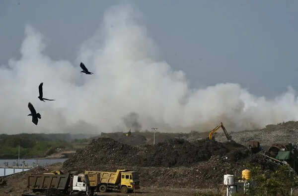 Green groups hold forums, prepare charters to prod poll candidates to fight pollution