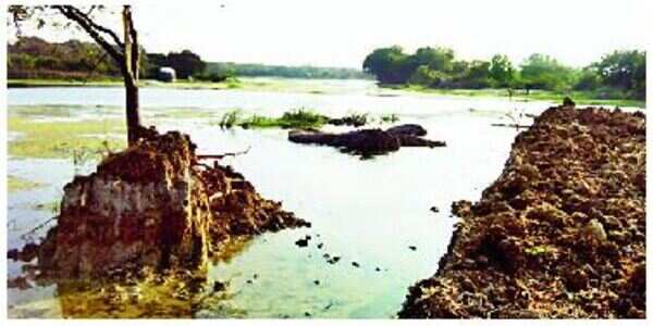 In a first, University of Hyderabad to have bio-reserve