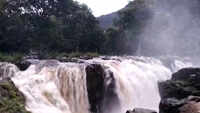 Hogenakkal falls in full spate following incessant rain 