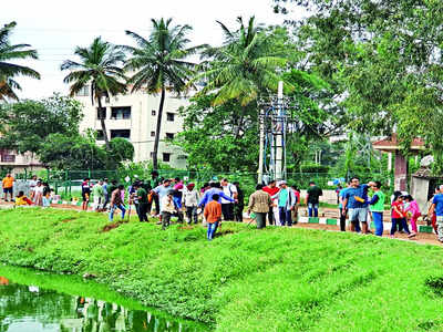 Reviving Siddapura Lake with each plantation