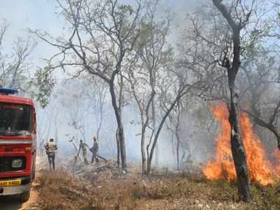 Local forest officials to be responsible for forest fires in Karnataka