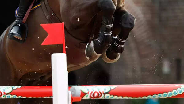 Royal Mysore may win Pune City Gold Cup