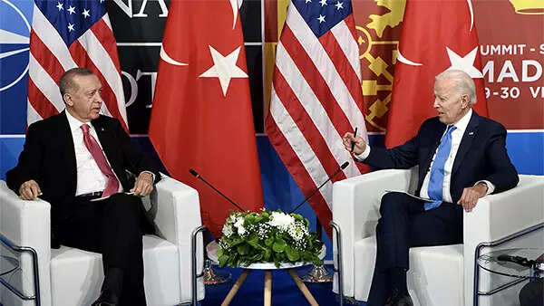 Explained: Why Erdogan flipped on Sweden's Nato entry