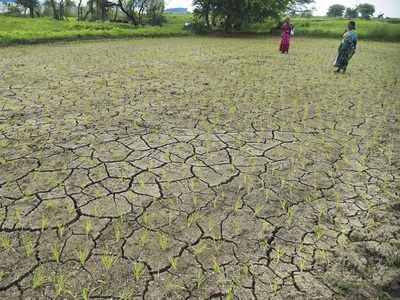 Maharashtra drought: Shiv Sena claims it lent support to 5,000 farmers' families