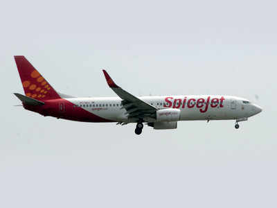 SpiceJet adds 20 new flights to its domestic spectrum
