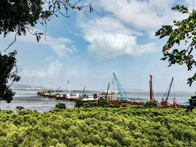 MMRDA: Cut 1,172 trees for sea link project