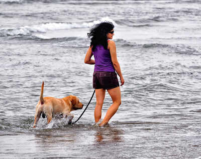 Pet Puja: Take a walk like a boss