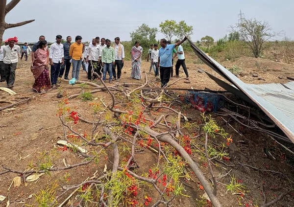 MLA Padalkar assures urgent help to kin of 9-month-old who died in storm